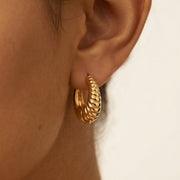 Liora Hoops