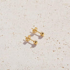 Anastasia Stud Earrings - Cali Tiger